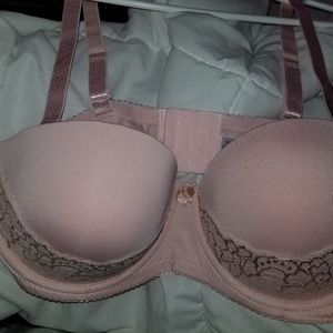 38c bra